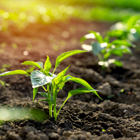 新盛娱乐(中国区) - 官方网站