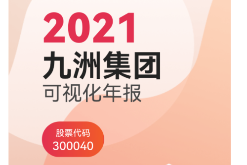 新盛娱乐集团（300040）2021年可视化年报