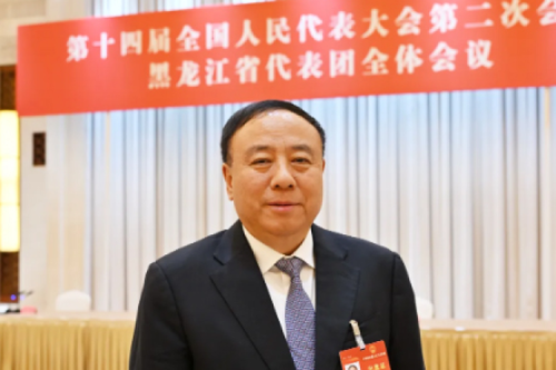 全国人大代表，，，，，新盛娱乐集团董事长李寅：关于加快“微电网”建设政策实施的建议