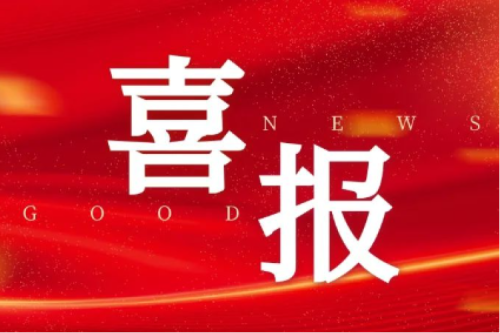 喜报！智能配电网事业部荣获2025年黑龙江省工人先锋号（巾帼标兵岗）荣誉称号